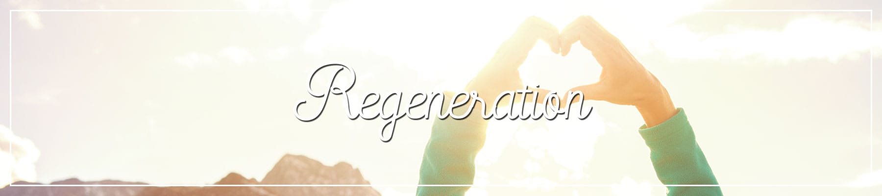 Lebensmittel zur Regeneration Erholtung