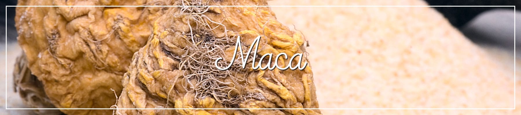 Maca Pulver Wurzelpulver Peru Maca Pulver